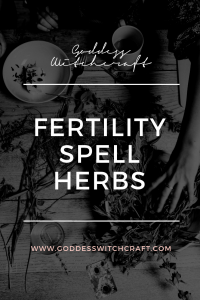 Fertility Spell Herbs Pinterest Graphic